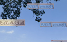 聽賀偉解說國足世預(yù)賽，免費(fèi)直播雙平臺(tái)，期待央視表現(xiàn)！