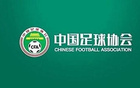 足協評議第13期：裁判錯漏判2例，南通支云無違規點球。