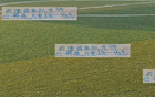 申花老將，大場面經(jīng)驗豐富，曾發(fā)掘厄德高，再探米內(nèi)羅。