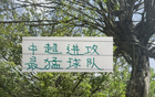 北京國安攻擊力強，海港申花進球數平。
