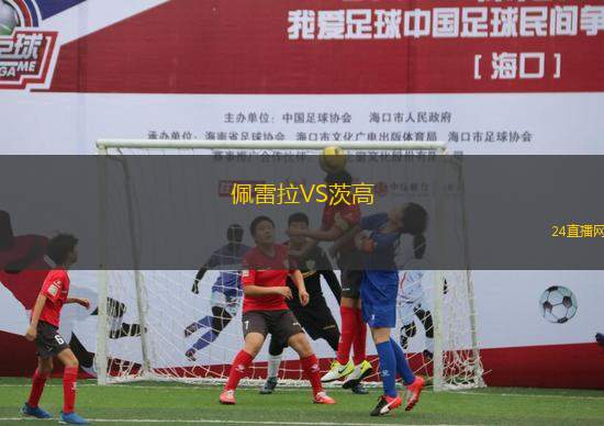 奧德爾VS尼斯比