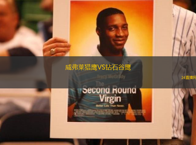 威弗萊獵鷹VS鉆石谷鷹